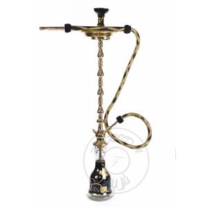 Gold Arabian - SBR108